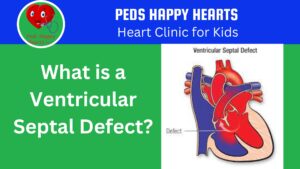 Ventricular septal defects