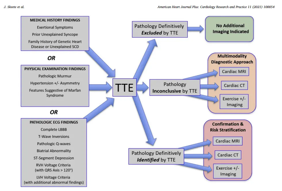J Skeette Flow Chart To TTE